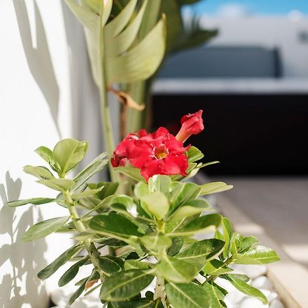 Villa Palmera Jacuzzi ไยซา ภายนอก รูปภาพ